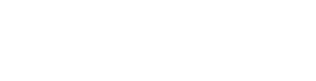 logo-big-white